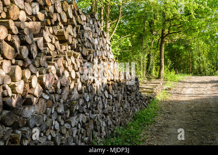 Ein Haufen von Logs sauber entlang einer Forststraße gestapelt am Rande eines Waldes in der französischen Landschaft. Stockfoto