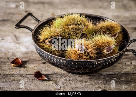 Herbstliche Stillleben, Nahaufnahme, vintage Schüssel mit nur gesammelten Kastanien auf einem Holztisch Stockfoto