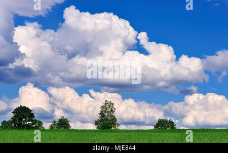 Ackerland und cumulus Wolken im blauen Himmel Stockfoto
