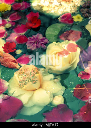 Fotomontage, Blumen, Wasser, Float, Detail, Blur, Stockfoto