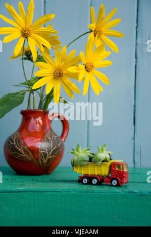 Sunroot Blumen in einer kleinen Vase und Sukkulenten in ein Spielzeugauto Stockfoto