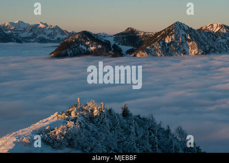 Blick von der Jochberg über Walchensee (See Walchen) auf den Herzogstand, während hohe Nebel, Bayerische Alpen, Bayern, Deutschland Stockfoto