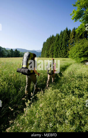 Auf der Halbinsel Zwergern am Walchensee (See Walchen), Bayerischen Alpen, Bayern, Deutschland Wanderer Stockfoto