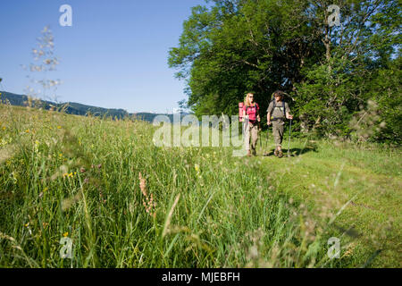 Wanderer auf der Halbinsel Zwergern am Walchensee (See Walchen), Bayerischen Alpen, Bayern, Deutschland Stockfoto