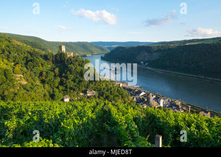 Burg Gutenfels, Kaub, Rheinland-Pfalz, Deutschland, Europa Stockfoto