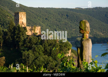 Burg Gutenfels, Kaub, Rheinland-Pfalz, Deutschland, Europa Stockfoto