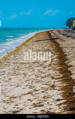 Weißer Sand und türkisblaues Wasser am Long Bay Beach, Providenciales, Turks- und Caicosinseln Stockfoto