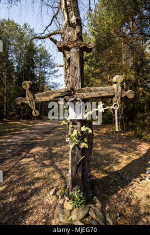 Europa, Polen, Woiwodschaft Podlachien, carska Straße, Baum, Holz- commemorative Kreuz Stockfoto