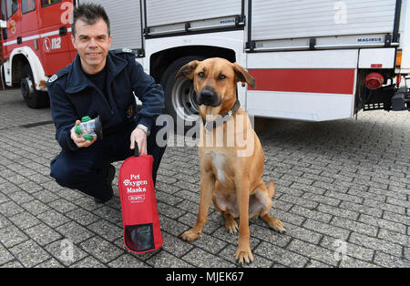 30 April 2018, Deutschland, Delmenhorst: Holger Klein-Dietz der Delmenhorst Feuerwehr halten eine Beatmungsmaske für Haustiere neben Dora, den Hund. Die delmenhorst Feuerwehr ist einer der ersten in Deutschland Atemschutzmasken für Haustiere zu haben. Foto: Carmen Jaspersen/dpa Stockfoto