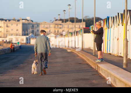 Eine Frau, die Jogger Pausen auf ihre frühen Morgen laufen wie ein Hund Walker übergibt die Preston direkt am Meer, in der Nähe von Torquay, Großbritannien Stockfoto