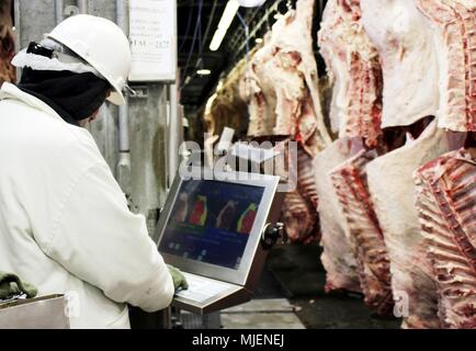 (180505) - Peking, 5. Mai 2018 (Xinhua) - Ein Arbeiter prüft die Qualität von Rindfleisch, das von einem Gerät am grösseren Omaha Verpackung unternehmen die Exporte US-Rindfleisch nach China, in Omaha, USA, Nov. 1, 2017. (Xinhua) (lmm) Stockfoto