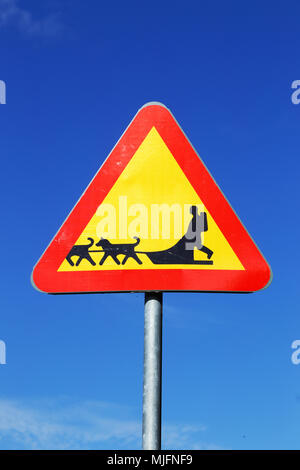 Schwedische Schild Vorsicht vor Sled Dog Team auf blauen Himmel. Stockfoto