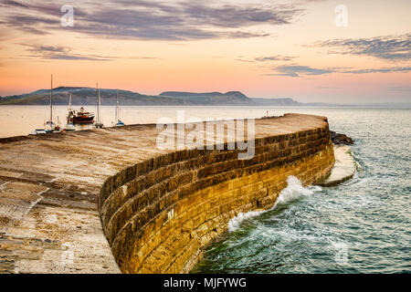 Der Cobb, den historischen Hafen Mole in Lyme Regis, Dorset, England, an einem Sommerabend. Stockfoto