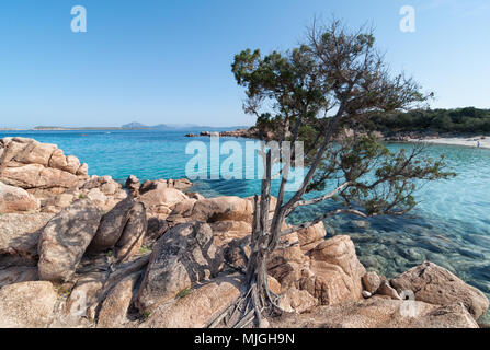 Capriccioli bay esmerald Kosten Sardinien Stockfoto