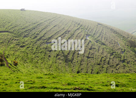 Terracettes auf steilen Abhang Abhang von Chalk Downs, Pewsey Vale, in der Nähe von Knap Hill, Alton Barnes, Wiltshire, England, Großbritannien Stockfoto