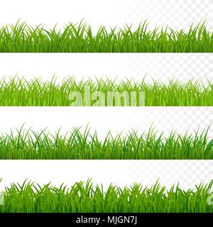 Nahtlose gorisontal Gras Grenze. Grüne Gras Muster. Grass Textur Elemente. Vector Illustration auf weißen isoliert Stock Vektor