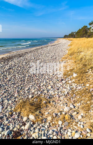 Boda Küste Östliche Naturschutzgebiet auf Oland, Schweden. Zonen von natürlich polierte Steine und Sand, Gras und Pinien ist typisch für Th Stockfoto