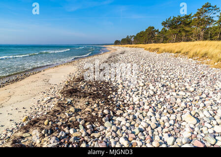 Boda Küste Östliche Naturschutzgebiet auf Oland, Schweden. Zonen von natürlich polierte Steine und Sand, Gras und Pinien ist typisch für Th Stockfoto