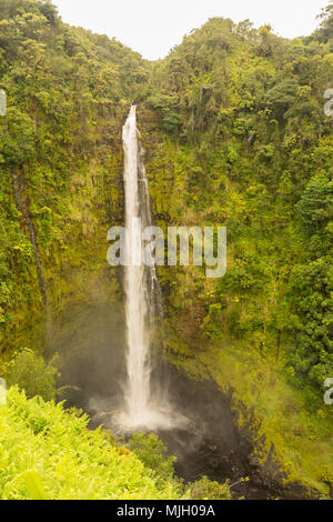 USA Hawaii Big Island Wasserfall im Akaka Falls State Park Stockfoto