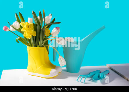 Gelbe Gummistiefel mit einem Blumenstrauß der gelben Narzissen und weiß und rosa Tulpen auf weißem Holztisch auf dem blauen Hintergrund. Garten acces Stockfoto
