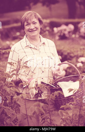 Lächelnd senior Frau Gärtner mit Gartenbau Tools arbeiten mit rosa