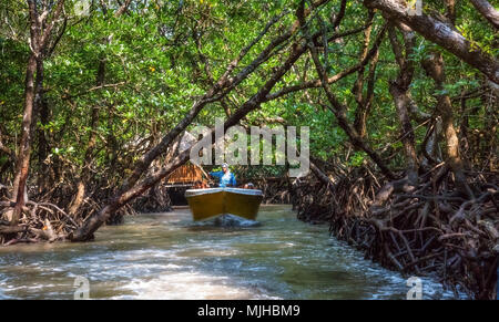 Tropfsteinhöhle natürliche Felsformationen Nahaufnahme an Baratang Insel, Andamanen Indien. Stockfoto