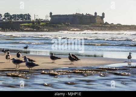 Fort Sao Francisco Queijo (allgemein bekannt als Burg von Käse) in der Stadt Porto, Portugal. Blick vom Strand der Nevogilde Ortsteil beach Stockfoto