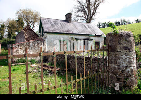 Eine verlassene Irischen Homestead außerhalb Carrickmacross, County Monaghan, Irland Stockfoto