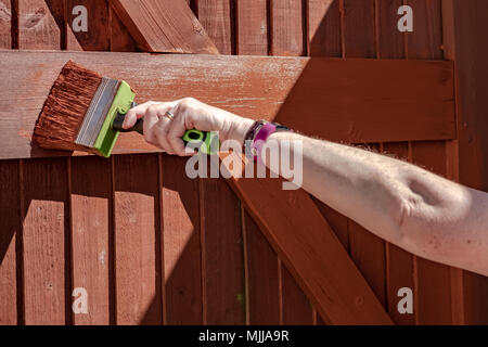 Frau gesehen der Malerei ein Holz gebaut gated Eingang mit einer großen, Schnittholz Pinsel. Diese flachen Fokus Bild wird der Pinsel. Stockfoto