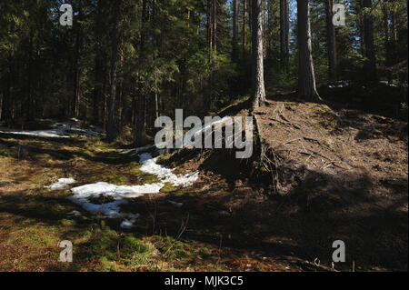 Schmelzwasser aus den Hügel hinunter zum See. Stockfoto