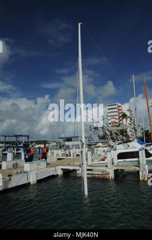 Der Mast eines versunkenen Segelboot ist als Teammitglieder mit dem Hurrikan Maria ESF-10 Puerto Rico Antwort gesehen bewerten Informationen über Schiffe, die für die mögliche Entfernung oder Verschmutzung Reaktion, Isleta Marina, Puerto Rico, Dez. 6, 2017 identifiziert wurden. Das Team, das die Marina besucht waren Vertreterinnen und Vertreter von der US-Küstenwache, Environmental Protection Agency, nationalen ozeanischen und atmosphärischen Administration und US-Fisch und Wildlife Service. Der ESF-10 Mission bietet keine kostengünstige Optionen für das Löschen von Schiffen durch Hurrikan Maria gestrandet; die betroffenen Eigentümer werden gebeten, die V anrufen Stockfoto