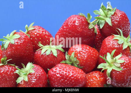 Erdbeere auf blauem Hintergrund Stockfoto