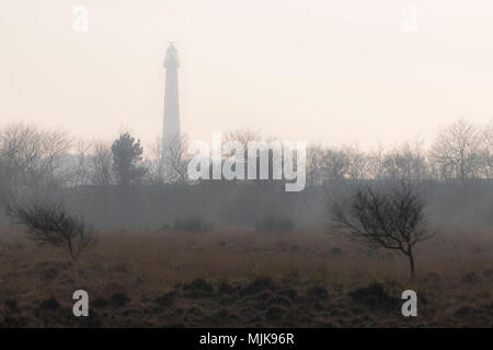 Abstrakte Foto der Leuchtturm der Insel Ameland in der Abendsonne mit einem Naturschutzgebiet im Vordergrund Stockfoto