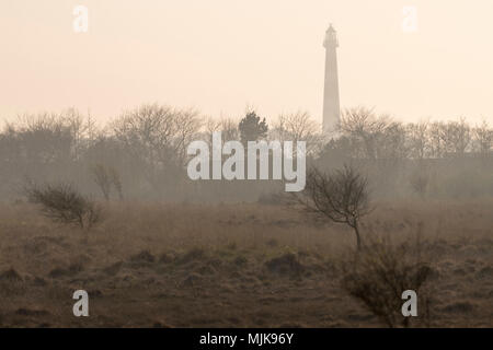 Abstrakte Foto der Leuchtturm der Insel Ameland in der Abendsonne mit einem Naturschutzgebiet im Vordergrund Stockfoto