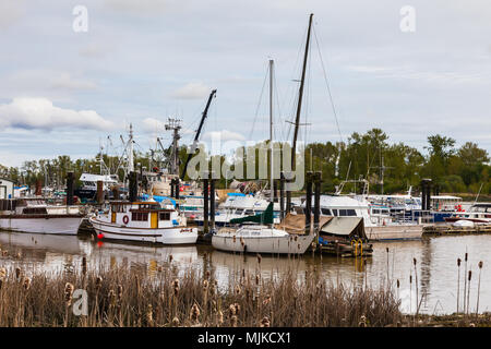 Steveston Marina mit vielen Bäumen im Umfeld auf schattigen Insel in der Nähe von Vancouver, Kanada Stockfoto