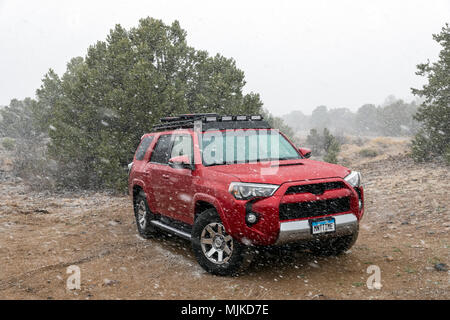 2014 Toyota 4Runner Trail Premium; Frühling Schnee Sturm; Allradantrieb 4WD-Road, Central Colorado, USA Stockfoto
