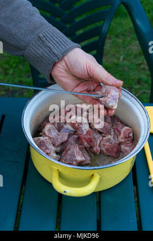 Gegrilltes kebab Kochen auf Metall Spieß. Gebratenes Fleisch am Grill zubereitet. BBQ frisches Rindfleisch Scheiben schneiden. Traditionelle östliche Teller, Shish Kebab. Picknick Stockfoto