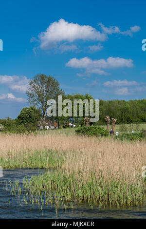 Das romantische Dorf Sieseby, Gemeinschaft von Thumby, auf der Schlei, Schleswig-Holstein, Deutschland, Europa Stockfoto