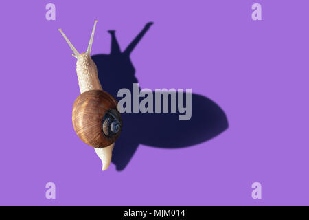 Grawling garten Schnecke auf Violett Farbe Hintergrund isoliert, Nahaufnahme makro Top View Stockfoto