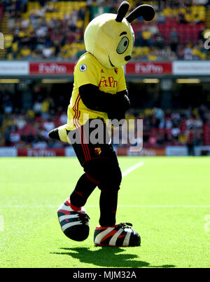 Die watford Maskottchen Harry der Hornet auf dem Platz vor dem Premier League Match an der Vicarage Road, Watford. Stockfoto