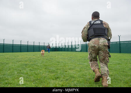 Us-Armee SPC. Teabout Tahle, militärische Gebrauchshund (MWD) Handler mit dem 100 MWD Loslösung, läuft auf die angebliche vermuten, als er entfesselt Militär hund Rex, sieben Jahre alten Malinois, für MWD-Einarbeitung training, auf chièvres Air Base, Belgien, 7. Dezember, 2017. (U.S. Armee Foto von visuellen Informationen Spezialist Pierre-Etienne Courtejoie) Stockfoto