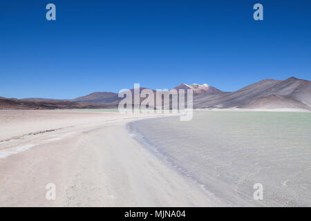 Salar de Talar in der Atacama Wüste (Chile) Stockfoto