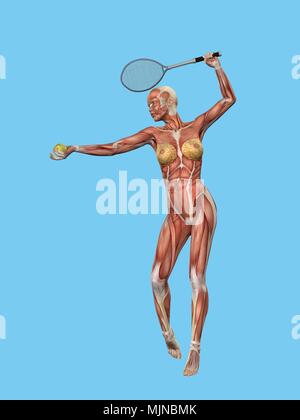 Anatomie der Frau Tennis spielen. Stockfoto