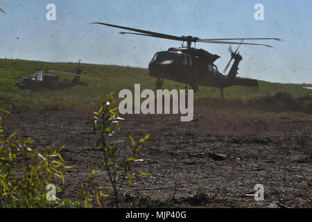 Louisiana der Nationalgarde von 1 Assault Helicopter Bataillon, im Aviation Regiment Haken oben Weihnachtsbäume zu einem UH-60 Black Hawk in Bayou Sauvage National Wildlife Refuge in New Orleans zu helfen, Bekämpfung der Küstenerosion, 14. März 2018. Das Projekt hat wieder Hunderte von Hektar Sumpfland in der Bayou Sauvage NWR im Laufe der letzten 23 Jahre. Dieses Jahr, der LANG und die USA und Wildnis-service emplaced rund 8.000 Bäume. Streitkräfte und Zivilisten Anzeige von Mut, Tapferkeit und Opferbereitschaft Engagement Engagement Stockfoto