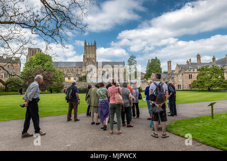 Somerset, UK, 5. Mai 2018. UK Wetter - an einem schönen sonnigen Feiertag Samstag in Somerset, ein Reiseleiter unterhält eine Gruppe von Touristen an die Bischöfe Palace Gardens in Brunnen. Credit: Terry Mathews/Alamy leben Nachrichten Stockfoto