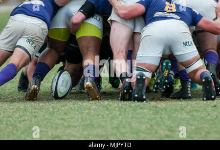 Southern Pines, N. C, USA. 13 Apr, 2018. Mai 5, 2018 - Southern Pines, N.C., USA - Der Ball funktioniert es aus der Scrum bei einem Match zwischen den südlichen Kiefern und New Orleans an die 2018 Abteilung 2 Southern Conference Rugby Meisterschaften an der Nationalen Athletisches Dorf. Southern Pines besiegt New Orleans, 71-12 in der Runde der letzten 32 auf den südlichen Konferenz Meisterschaft Morgen voraus. Credit: Timothy L. Hale/ZUMA Draht/Alamy leben Nachrichten Stockfoto