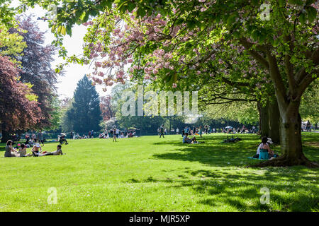 Northampton. Großbritannien 6. Mai 2018. Wetter. Sonnige und helle Tag bringt viele Menschen in Abington Park zu hören, die Band spielte an diesem Nachmittag. Credit: Keith J Smith./Alamy leben Nachrichten Stockfoto