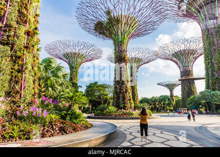 MARINA BAY, Singapore - 23. März 2018: eine Frau, die ein Foto von der bunten Supertree Grove an Gärten an der Bucht mit anderen Besuchern in den hinterg Stockfoto