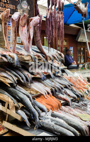 Puerto Montt, Chile - Dezember 4, 2016: ein Stall mit frischem Fisch und Meeresfrüchten für den Verkauf während eines Anbieters geduldig wartet, bis ein Kunde am Angelm Stockfoto