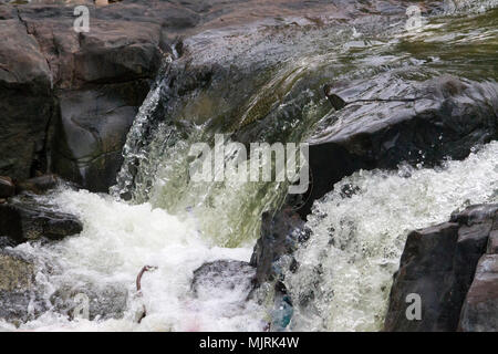 Die Landschaft von Hogenakkal Wasserfall in Südindien auf der Kaveri River im dharmapuri Distrikt des indischen Bundesstaates Tamil Nadu Stockfoto